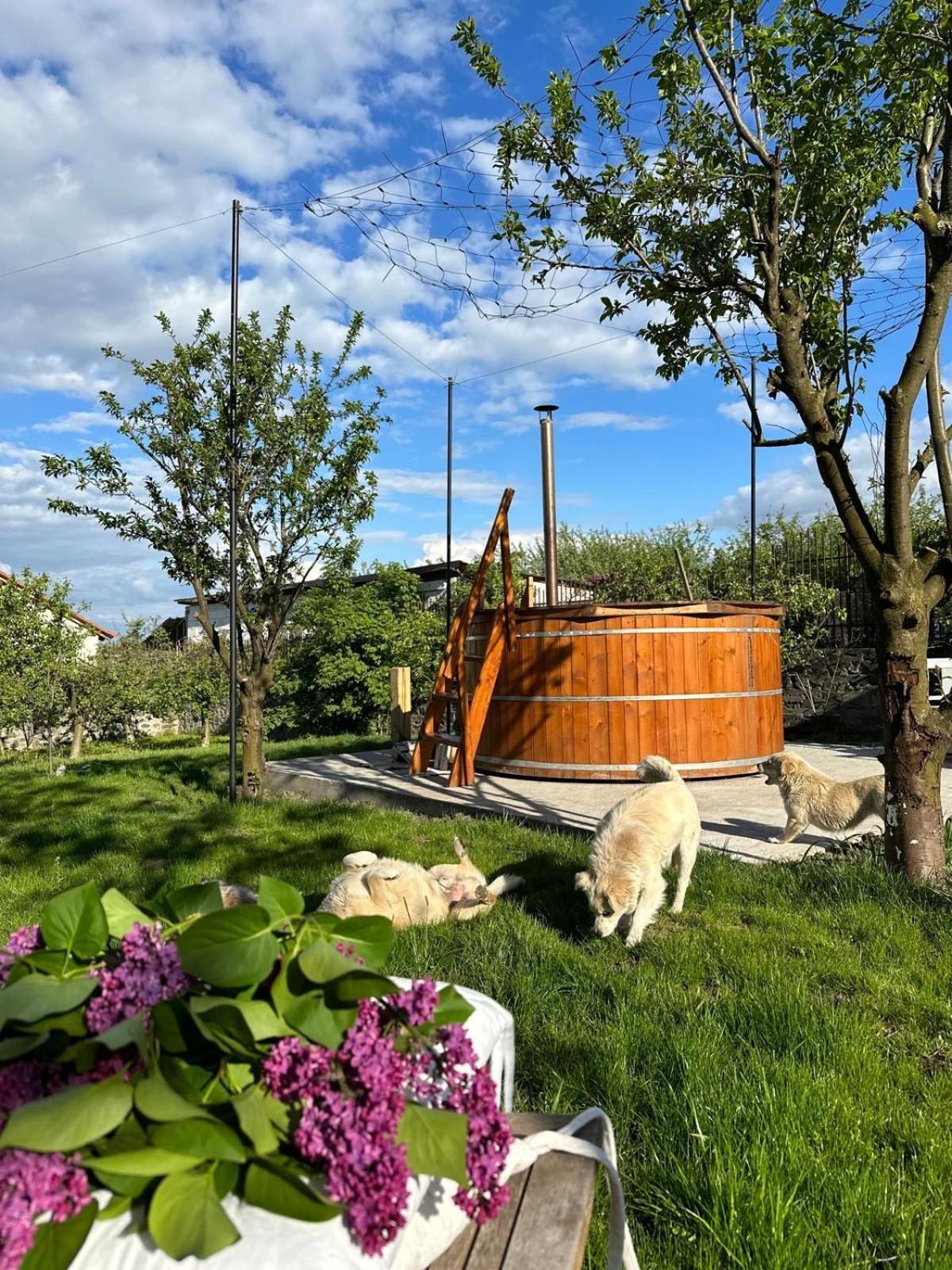 Casa Din Deal Sibiu Exterior photo